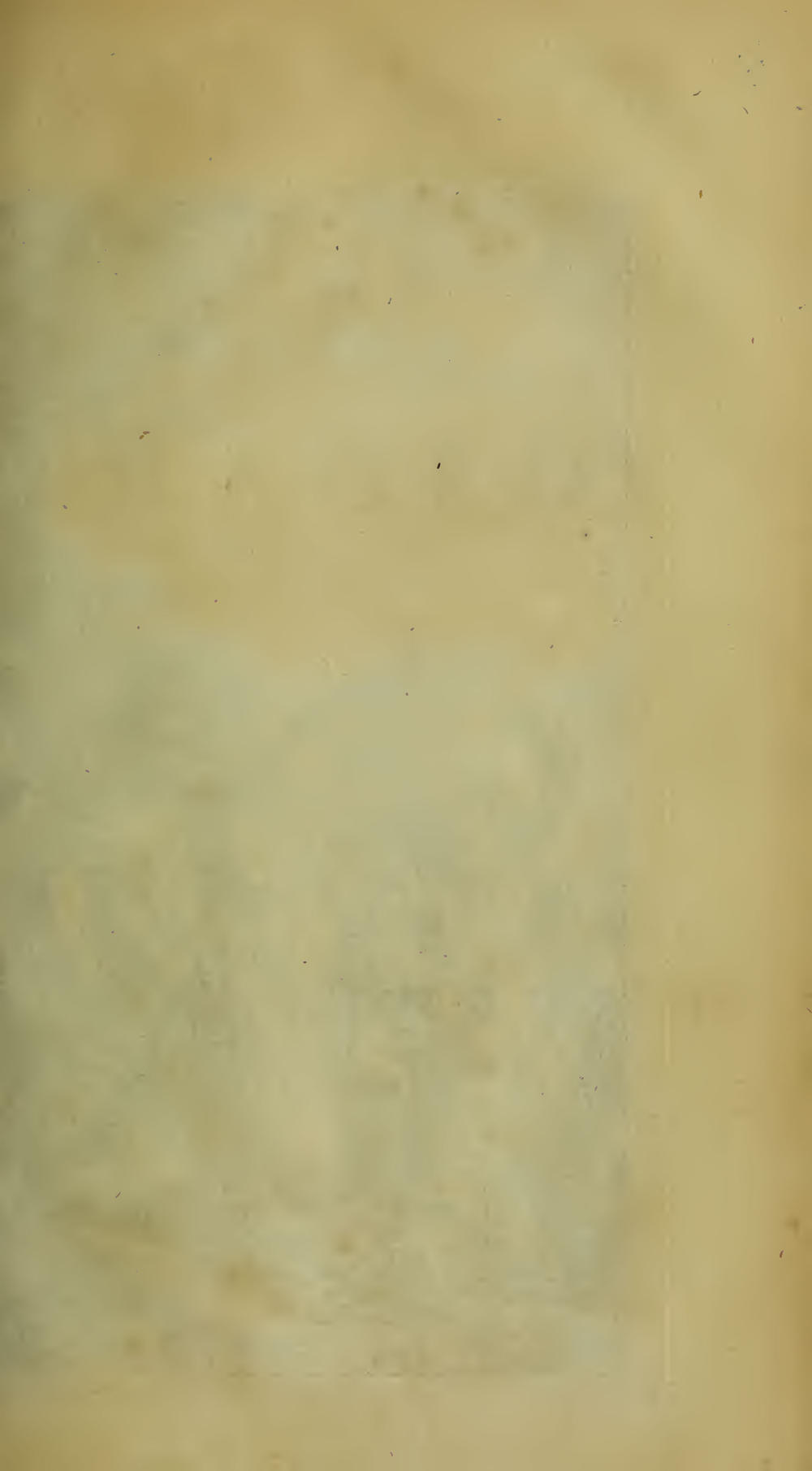 Image of page 378
